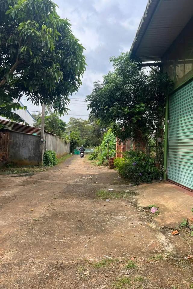 Đất hẻm ô tô đường Nguyễn Văn Cừ, cơ hội có một không hai