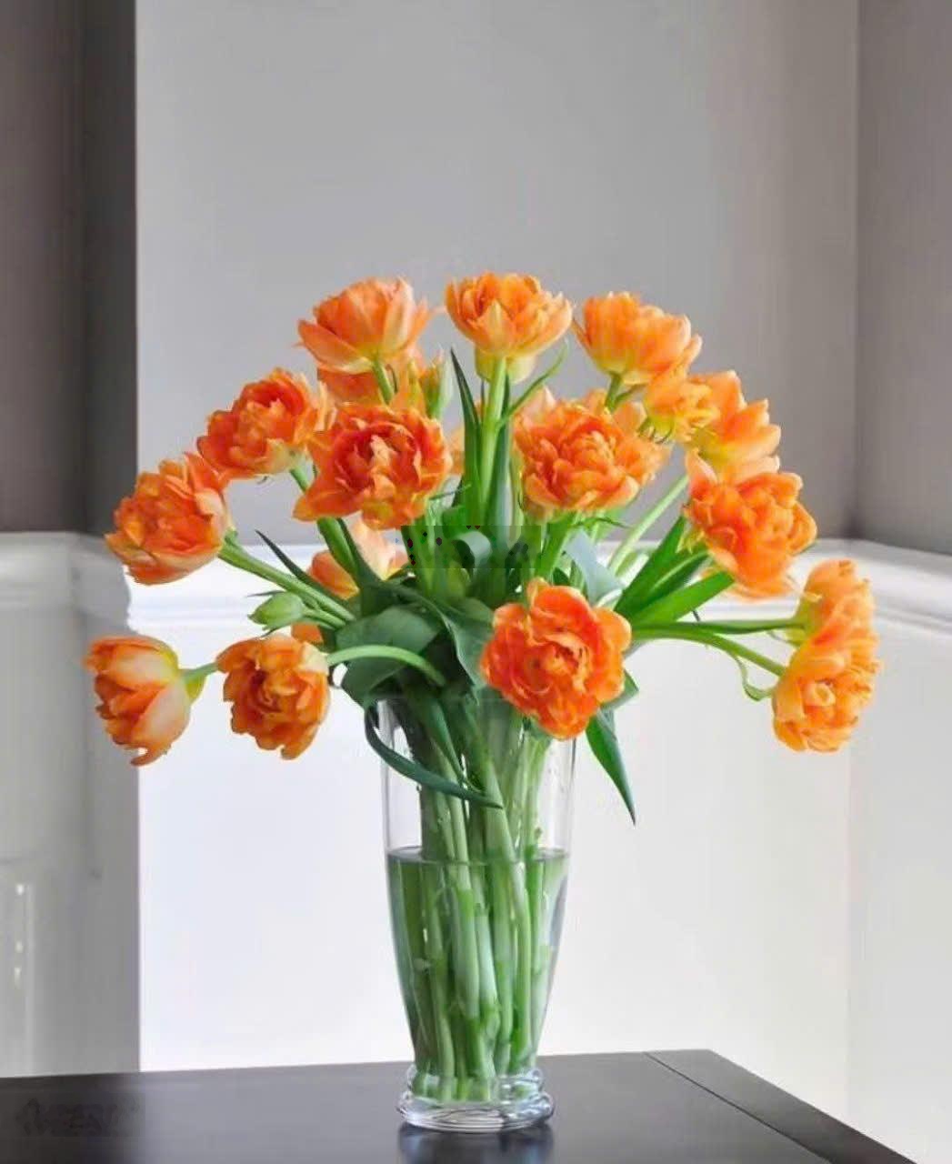 Siêu đầu tư ngõ Núi Trúc, Ba Đình, 2 ô tô đỗ cửa, vỉa hè, quy hoạch ổn định, 49m, 13.2 tỷ