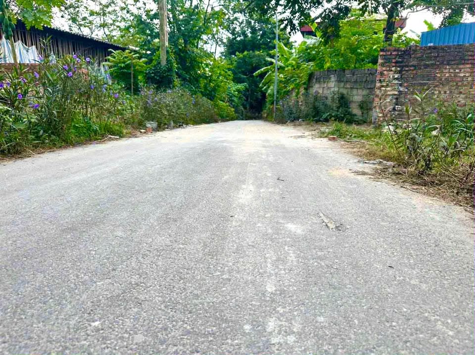 Bán đất thổ cư 128m2 gần khu công nghiệp Tam Dương, Tam Đảo, Vĩnh Phúc