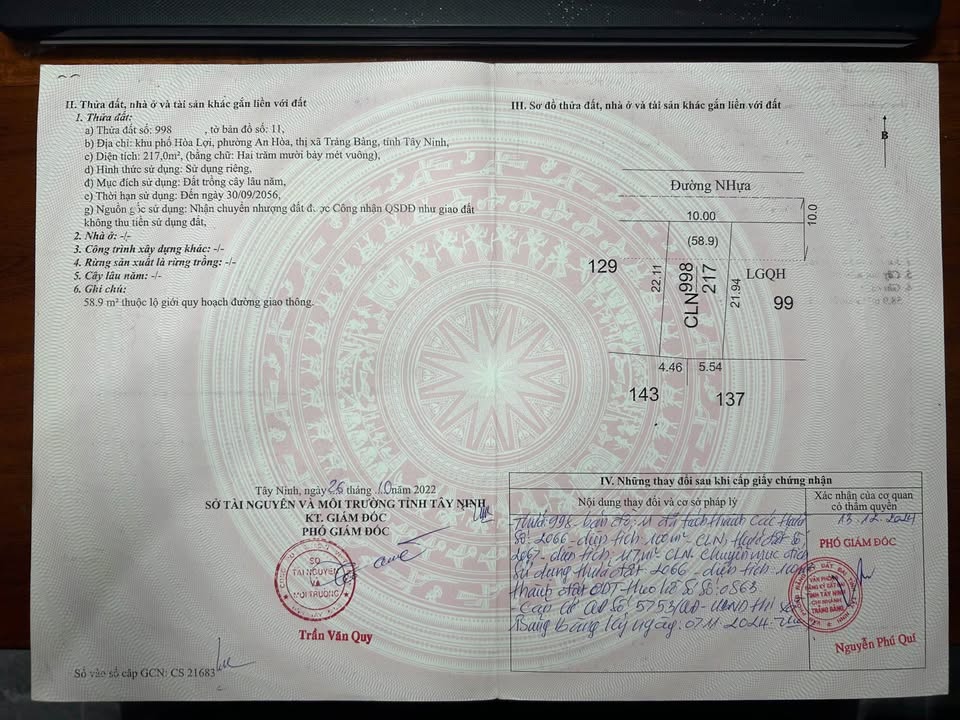 Đất vàng mặt tiền An Lợi 3 10m x 22m, giá rẻ bất ngờ