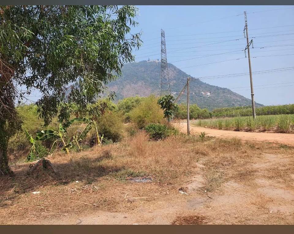 Bán mảnh đất vàng Tây Ninh, tặng nhà cấp 4, gần núi Bà Đen hùng vĩ, đường sỏi đỏ thông thoáng