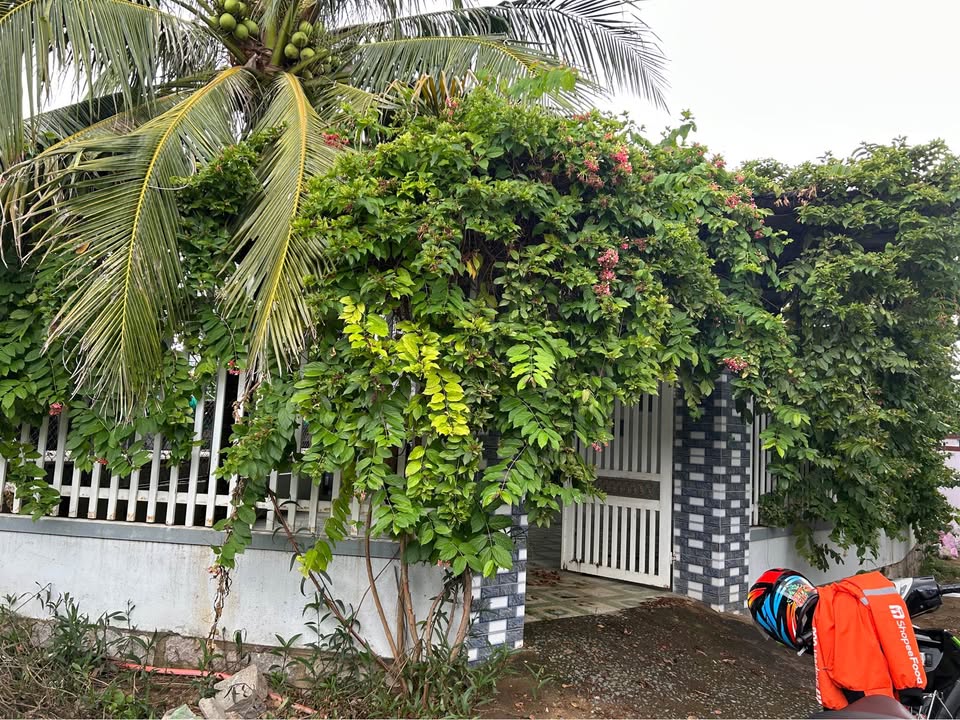 Bán nhà xinh ngay chợ Tri Thủy, đường rộng thênh thang, xe tải vi vu