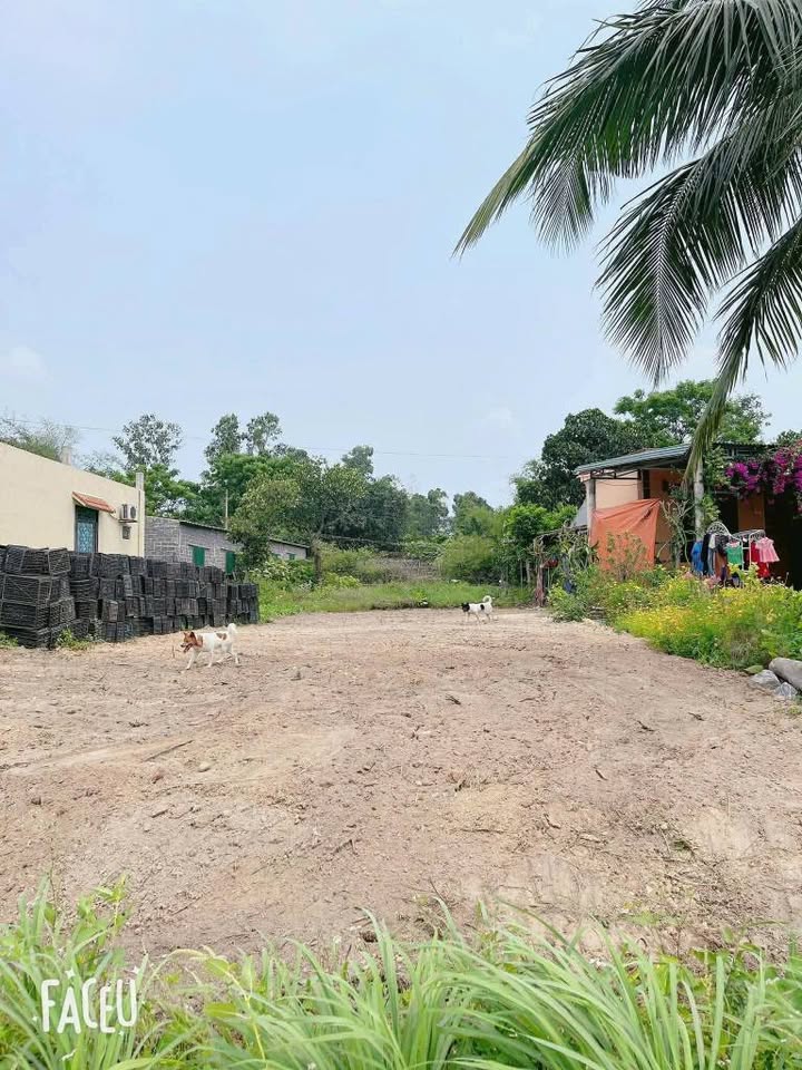 Bán lô đất đẹp tại Bắc Lý, diện tích 7m x 25m, 120m2 đất ở