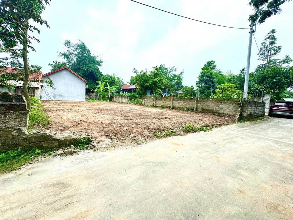 Lô đất siêu hot tại thị trấn Đại Đình vừa lộ diện, còn thơm mùi đất mới