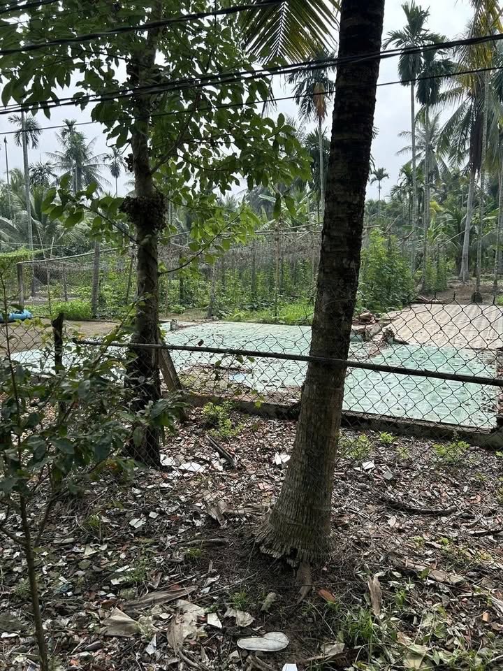 Bến Tre, cặp nền đất vuông vắn, sẵn sàng xây tổ ấm