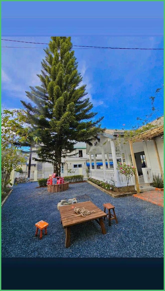 Cho thuê biệt thự 3 phòng ngủ mặt tiền Hoàng Hoa Thám, Đà Lạt 20 triệu/tháng