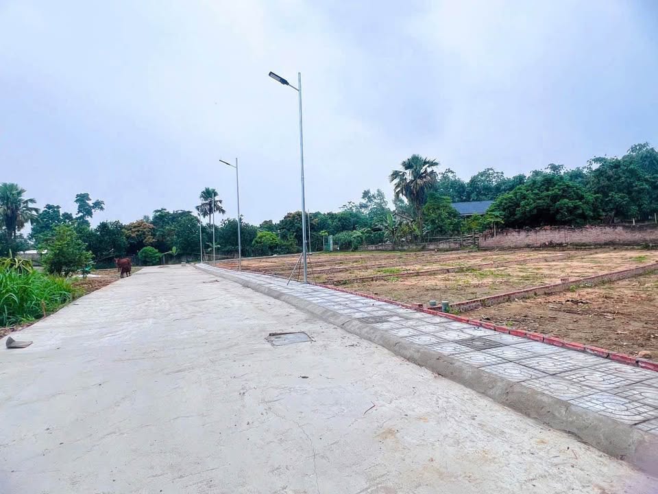 Bán mảnh đất 115m2 tại khu Giếng Mát, Tam Dương, Phú Thọ