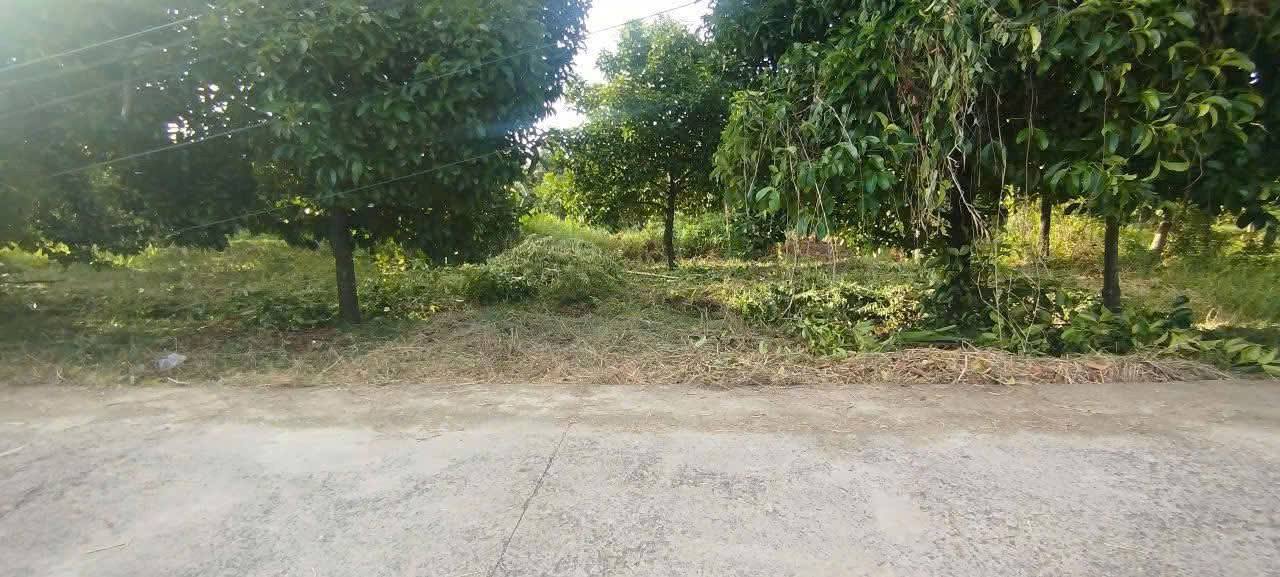 Bán 5 nền đất vị trí đẹp tại Nhơn Ái, Phong Điền, gần sông, dân cư đông đúc