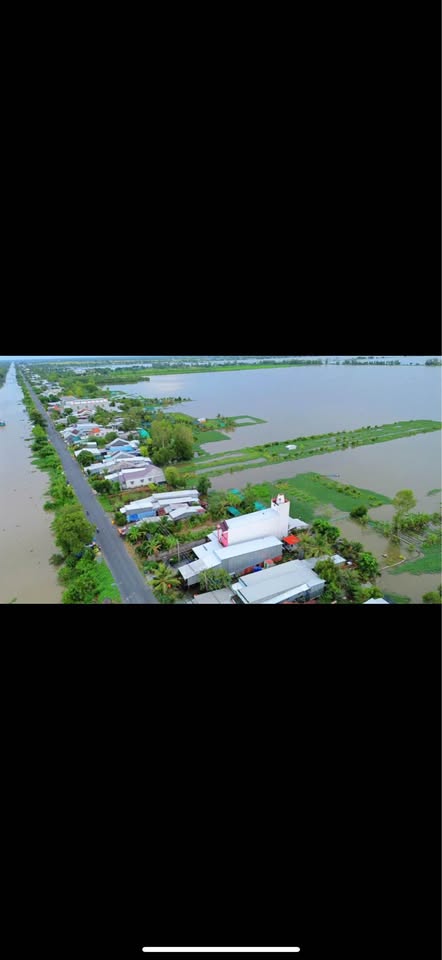 Cơ hội vàng sở hữu ngay nhà yến đang hoạt động hiệu quả tại mặt tiền đường 941