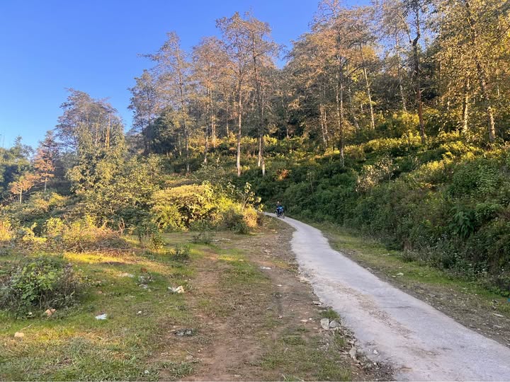 Bán đất Sa Pa view đẹp, ô tô tới tận nơi -phù hợp đầu tư hay nghỉ dưỡng