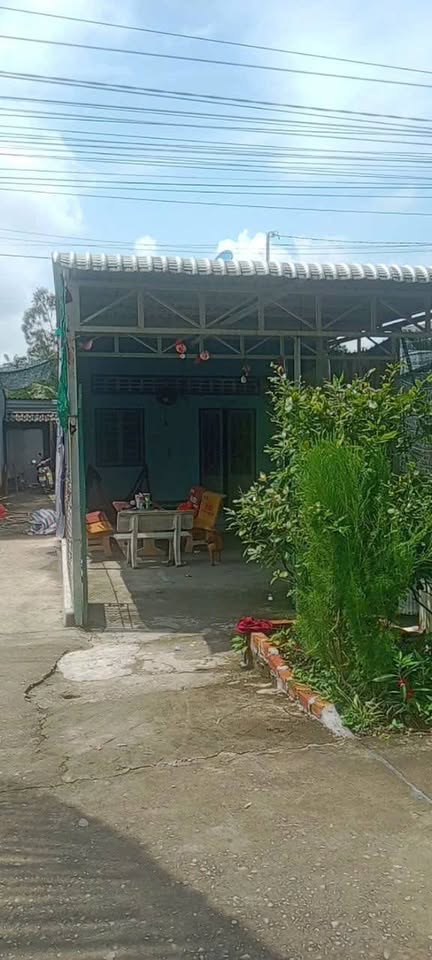 Bán đất Vĩnh Lợi, Bạc Liêu, nền 6x60m tặng nhà cấp 4, hướng Đông, giá 650 triệu