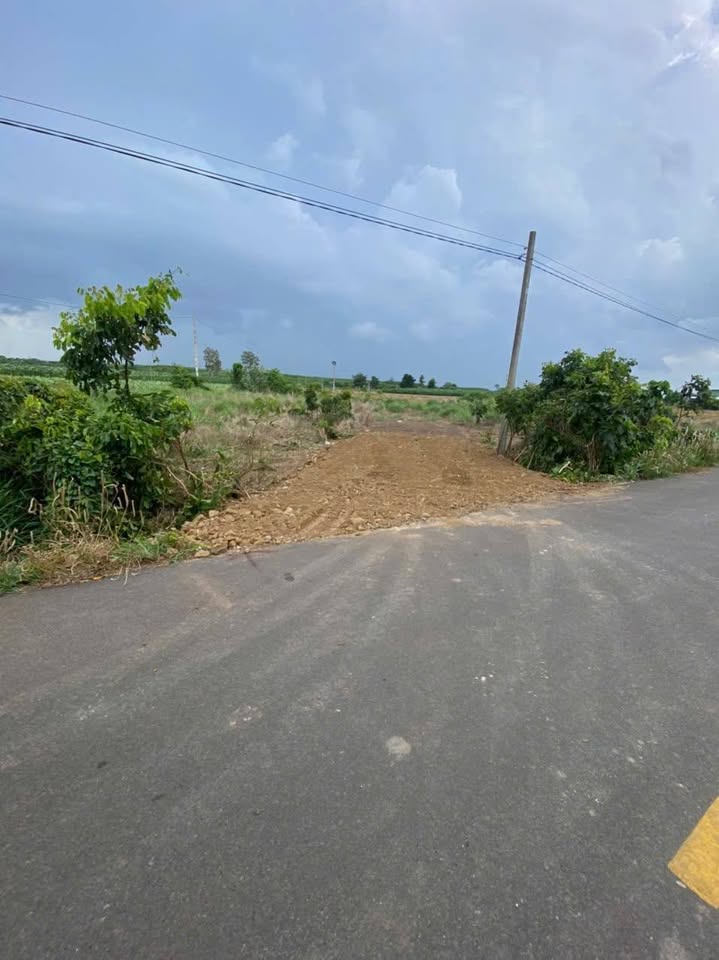 Bán gấp đất mặt tiền đường nhựa xã Đất Đỏ - 100m² thổ cư