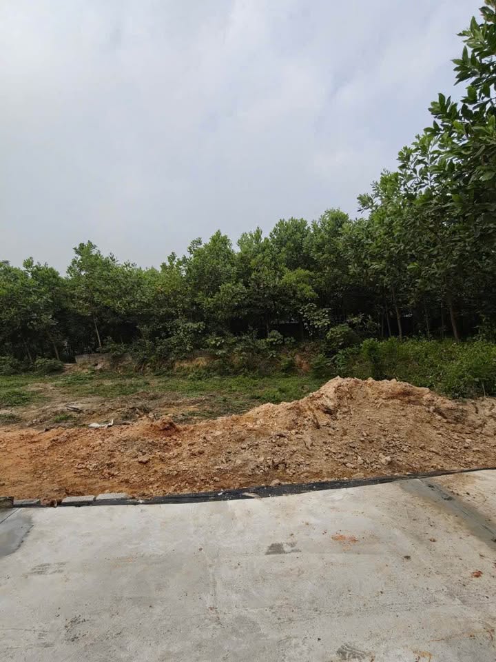 Bán đất Tân Lập, 137m2, hướng Đông Nam, xe tải bon bon, giá nhỉnh 1.6 tỷ