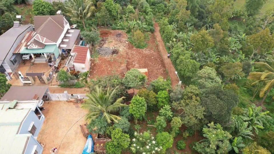 Đất 2 mặt tiền Enao B Nguyễn Xuân Nguyên, giảm giá sốc, chốt ngay kẻo lỡ