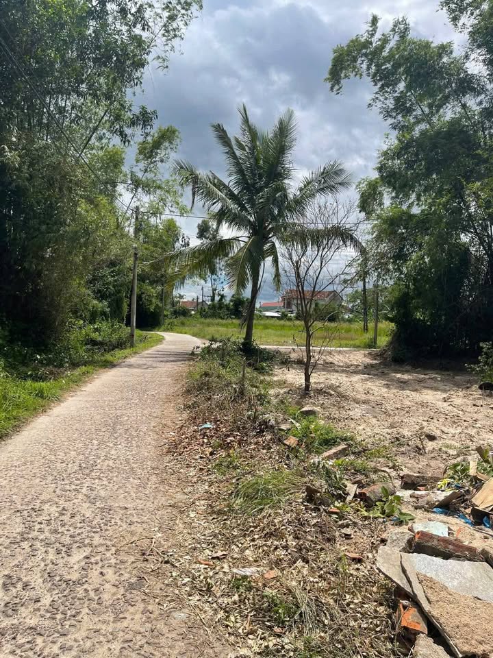 Đất vàng khu An Hòa 1, Tuy Phước, diện tích rộng, giá hấp dẫn