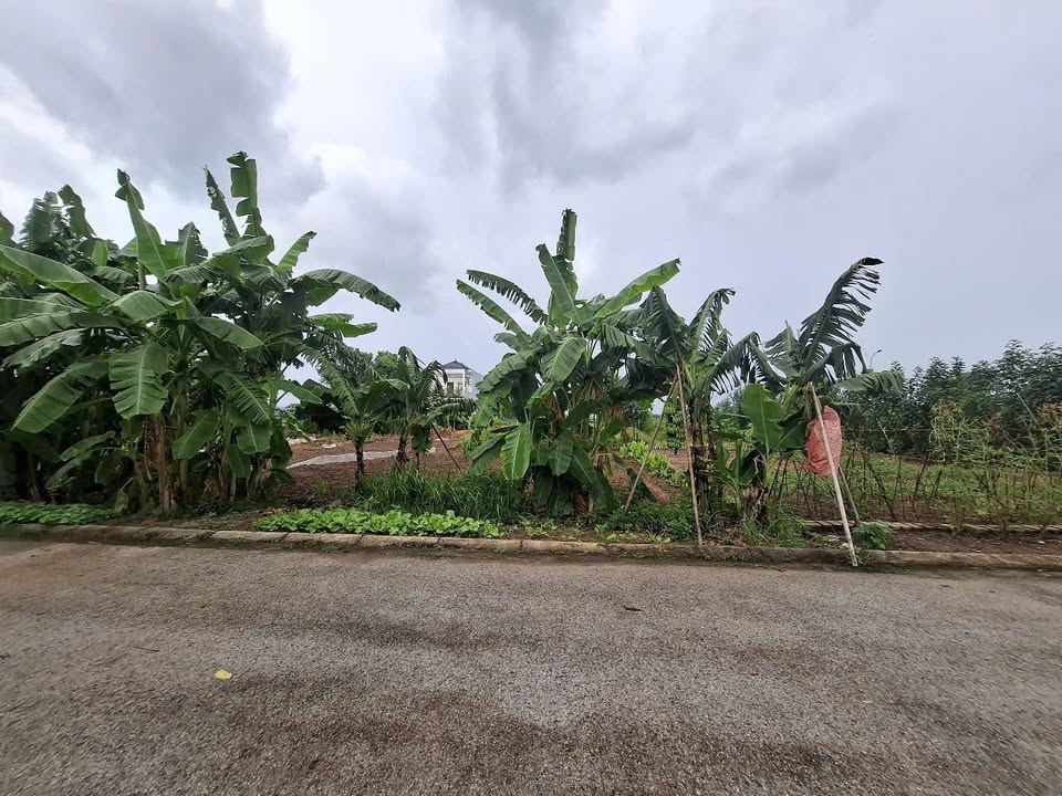 Bán đất khu giãn dân Kim Đôi - Kim Chân, giá tốt nhất khu vực