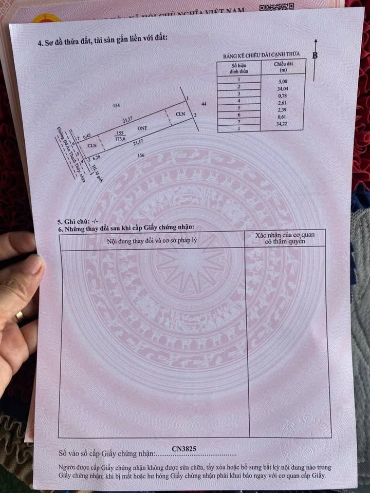 Chính chủ "thả thính" 2 nền đất mặt tiền đường nhựa 8 tấn, sổ sẵn sàng "nhảy" công chứng trong ngày