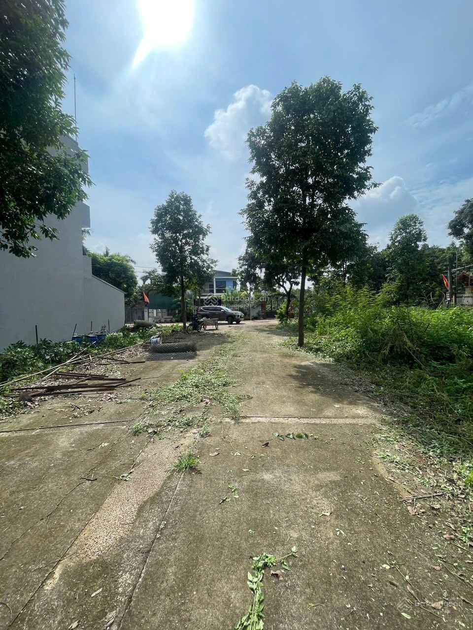 Lô góc 2 mặt tiền sổ đỏ hà nội dòng tiền ngay!