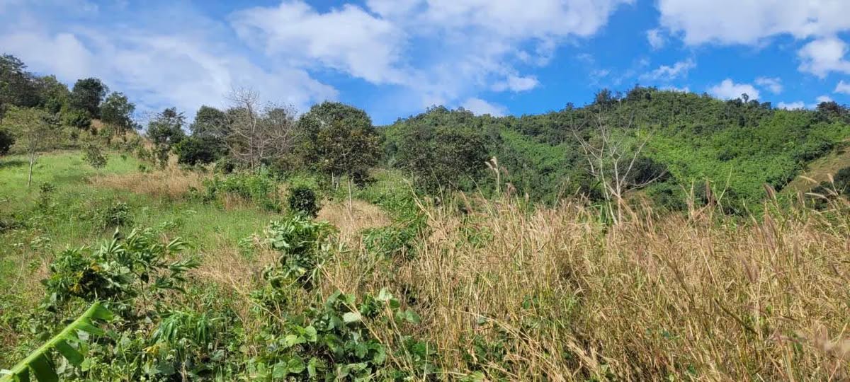 Đất rẫy 1,7ha tại Đắk Hà, suối giáp ranh, đường xe tải, sổ sẵn