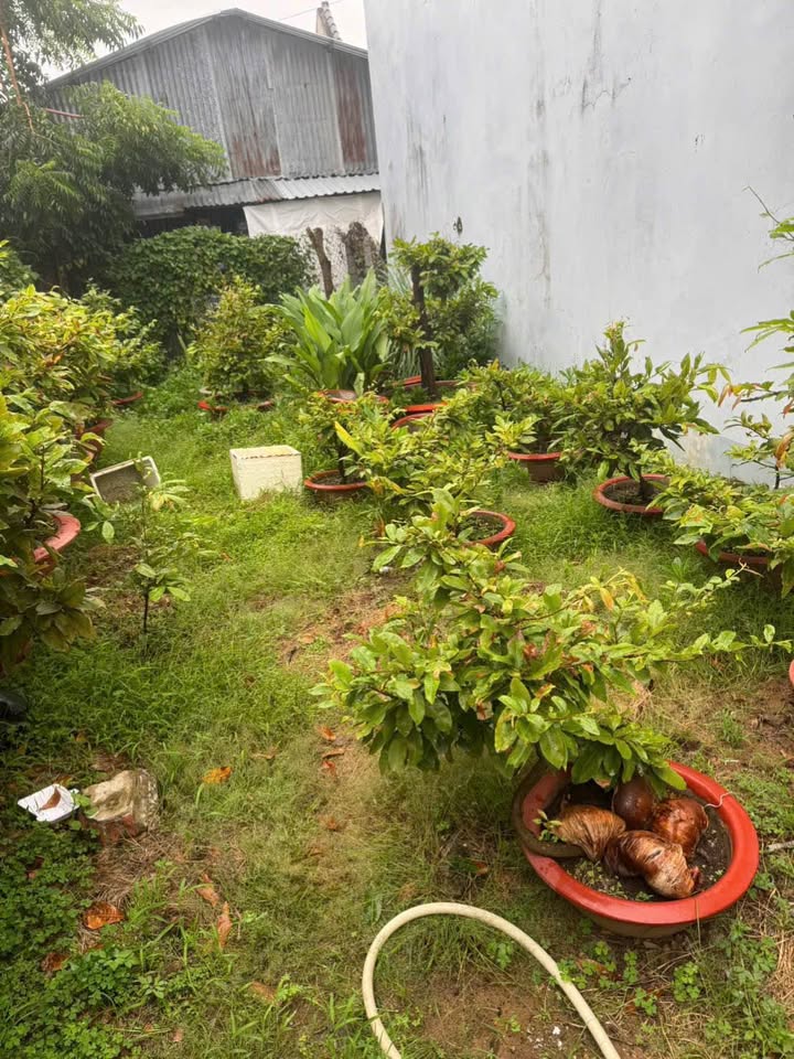 Bán nền đẹp tại trung tâm thương mại Nam Châu Đốc, vị trí đắc địa, giá tốt