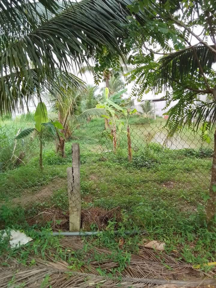 Kính mời quý vị đến chiêm ngưỡng cơ hội sở hữu lô đất đầy tiềm năng