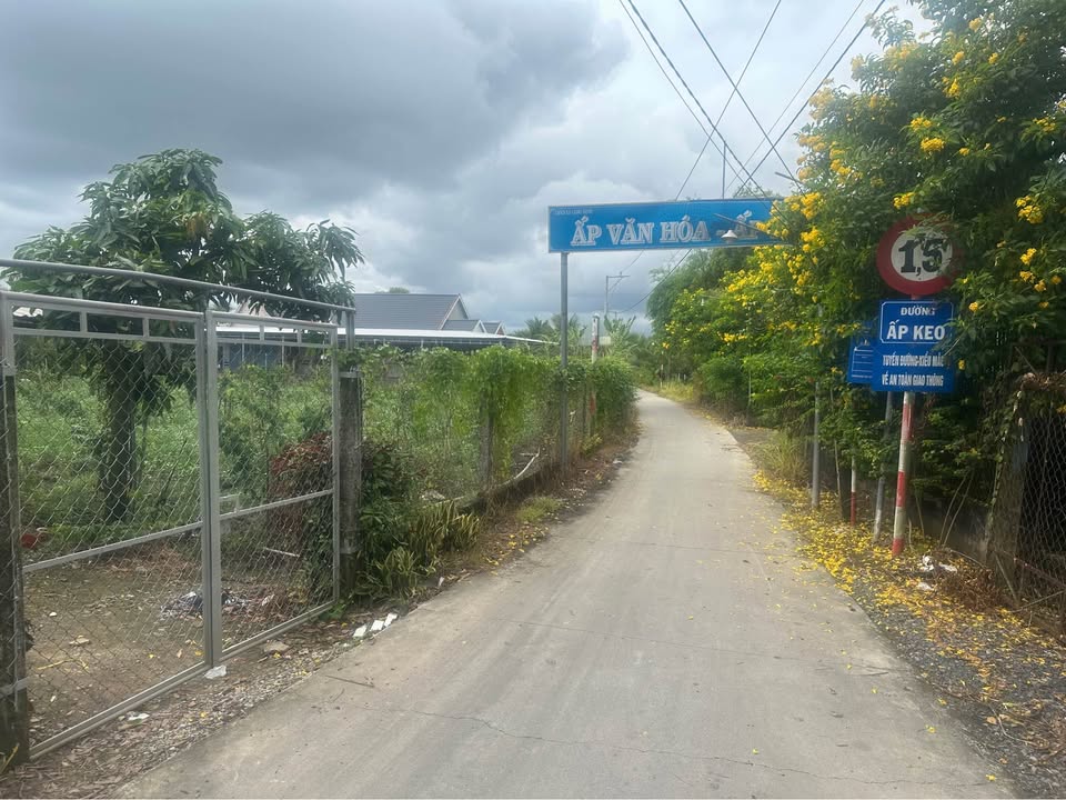 Bán đất vườn Tiền Giang 5000m² xanh mát, sổ đỏ riêng, gần chợ Giồng Dứa