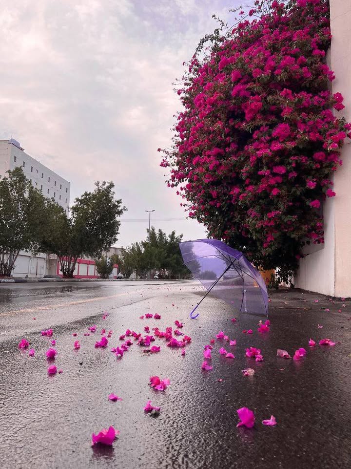 Đất Hòa Tiến mới, đường ô tô tận nơi, diện tích 233m2, giá chỉ 1 tỷ