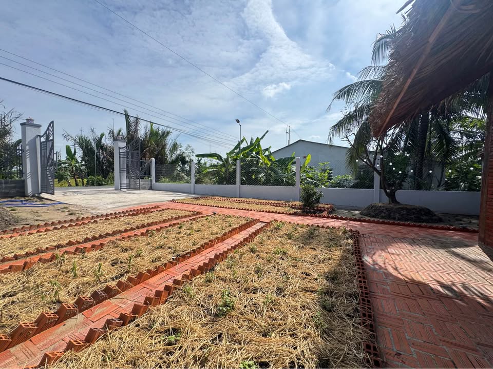 Bán đất lúa tại Trà Vinh, mặt tiền đường nhựa rộng 6m, giá chỉ 799 triệu