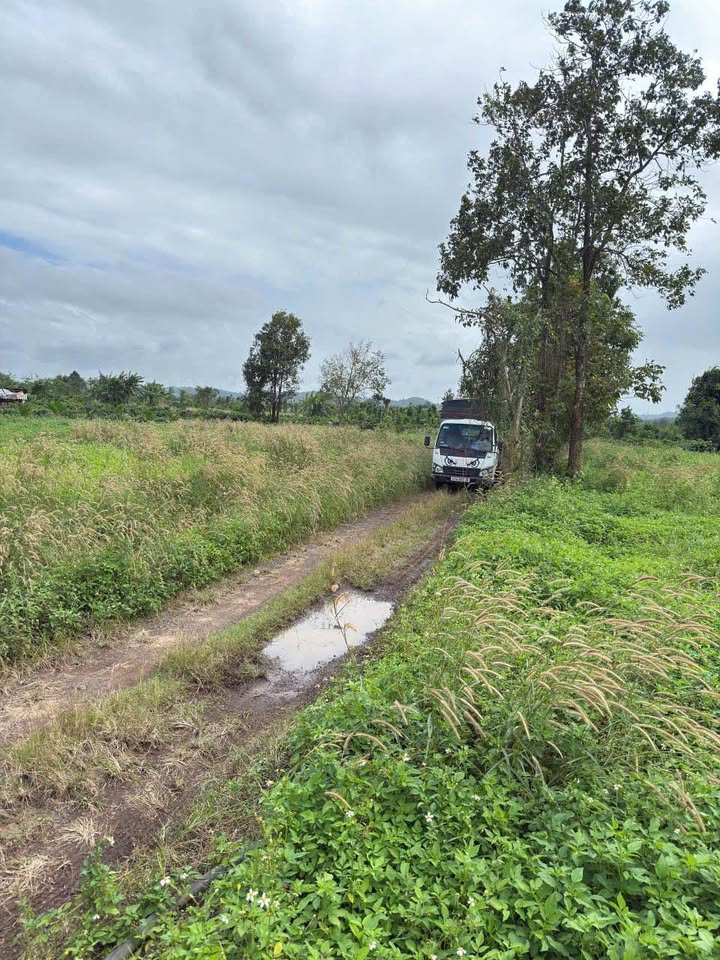 Lô đất 5 sào tại thôn 5 Hòa Khánh đầu tư sinh lời, view cà phê mê ly