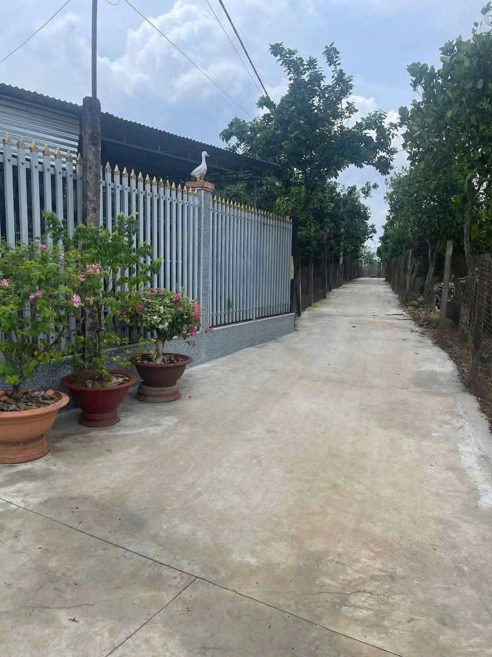 Đất nền Bảo Vinh B - Cơ hội đầu tư sinh lời tại Long Khánh