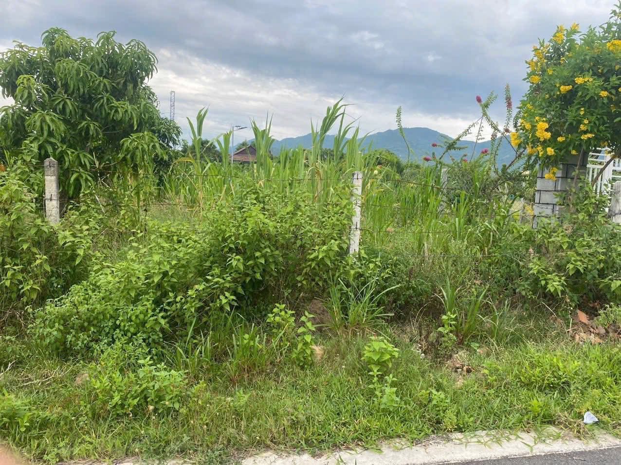 Bán đất Cam Tân, Khánh Hòa, 252m2, sổ hồng sẵn, khu dân trí cao