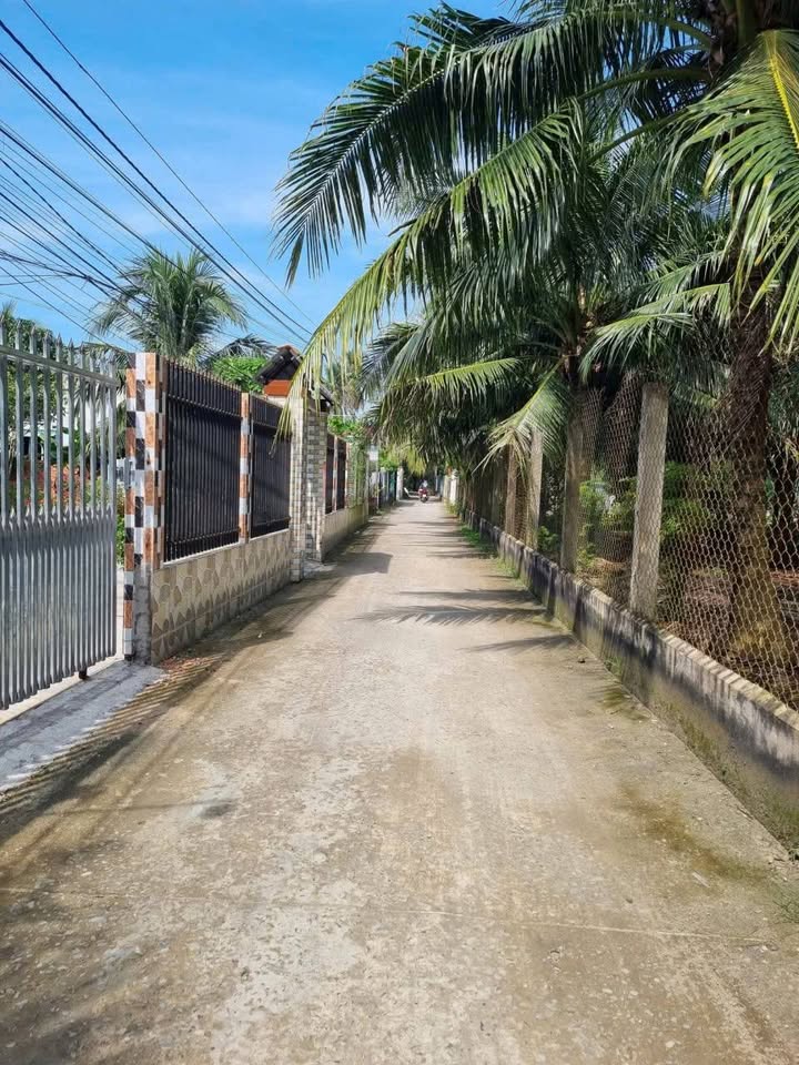 Bán nền đất thổ cư 100% tại Phú Nhuận, Bến Tre, diện tích 100m2, giá chỉ 680 triệu