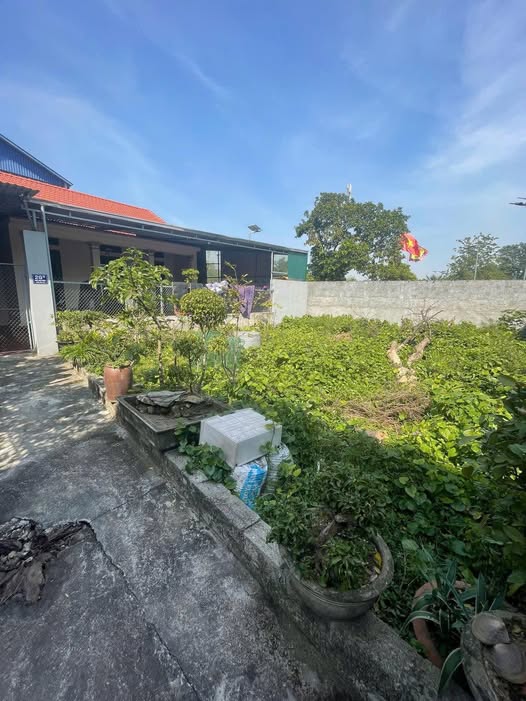 Siêu phẩm Vin 50m² mặt tiền 5.2m, Vĩnh Mộ - Nguyễn Trãi, Hà Nội