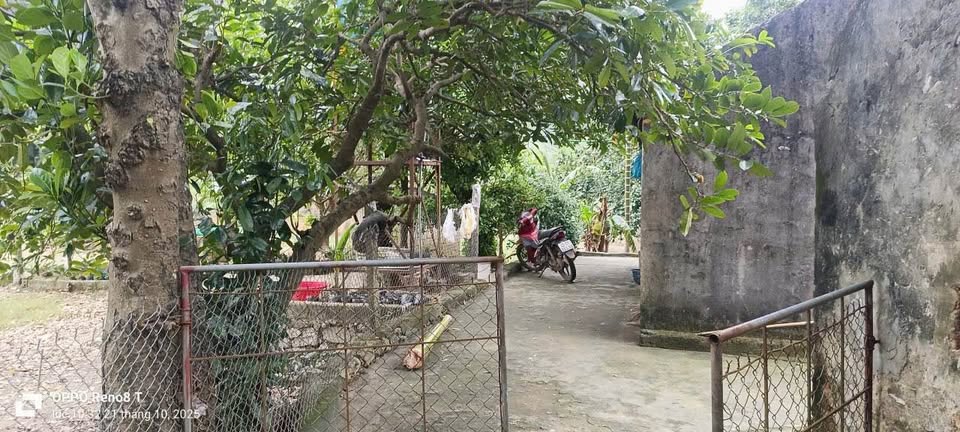 Trang trại "siêu to khổng lồ" 2.1 héc ta tại Đông Quang, Thanh Hóa đang cần chủ mới "xịn sò" để tiếp quản