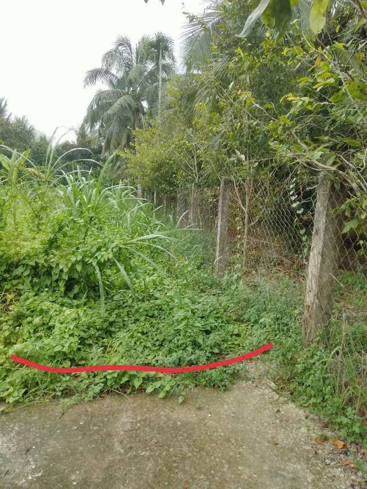 Đất Phú Tân giá sập sàn, chốt nhanh kẻo lỡ