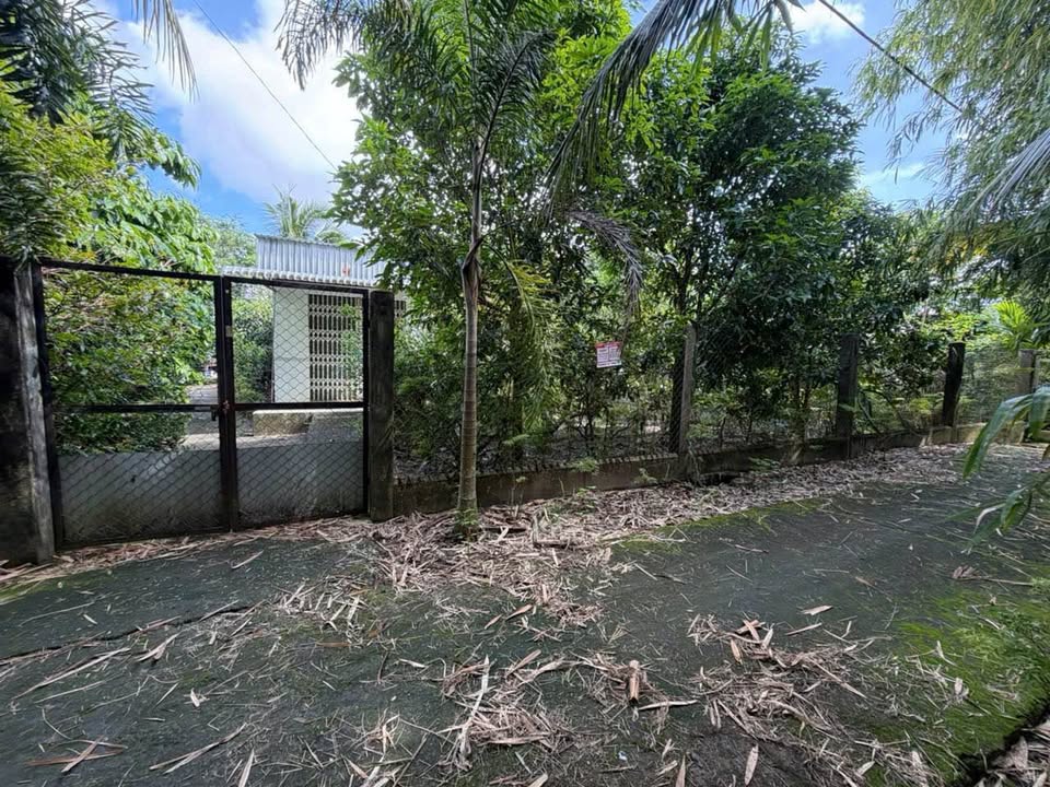 Bán đất vườn 5.675m² tại Vị Thanh, Hậu Giang, tiềm năng sinh lời cao