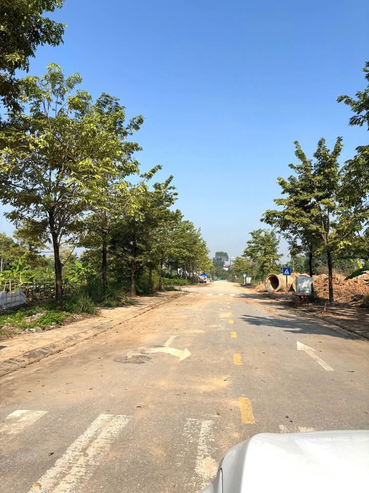 Đất đấu giá Đồng Gáo, Vĩnh Yên, vị trí đẹp, giá tốt