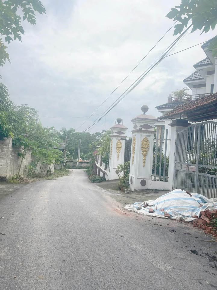 Bán đất nền 270m2 mặt tiền 10m tại Đồng Tĩnh, Tam Dương, Vĩnh Phúc