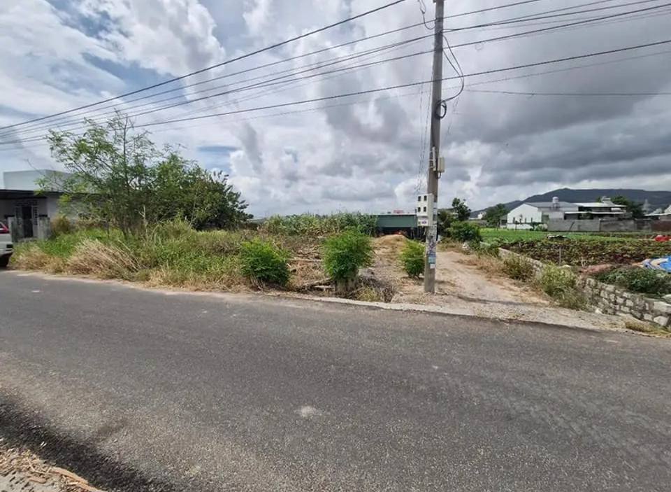 Bán đất Tân Hải, 5x20m, full thổ cư, hướng Nam, giá chỉ 1.35 tỷ