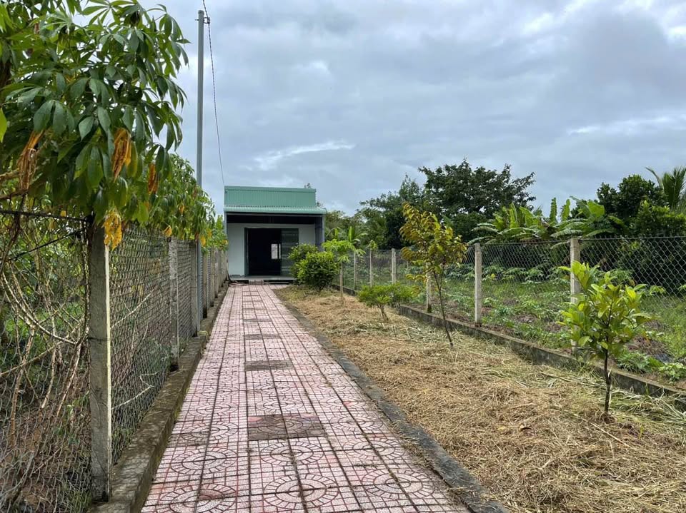 Khu đất vàng tại Tân Phú, Cần Thơ đang chờ đón chủ nhân mới