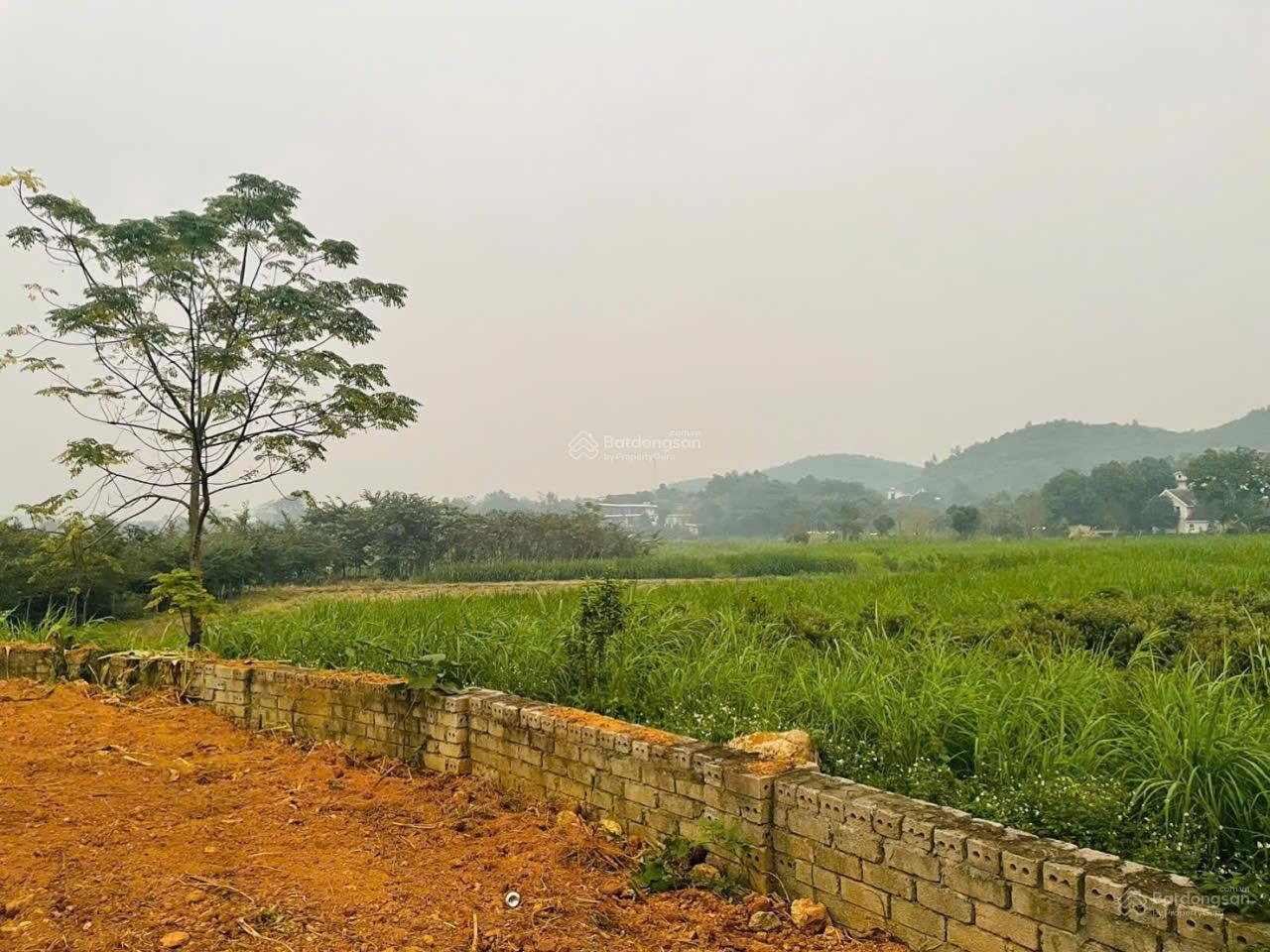 Khai hoang vip tài chính 1 tỷ, siêu hiếm đường chạy vòng quanh đất, view cánh đồng bát ngát