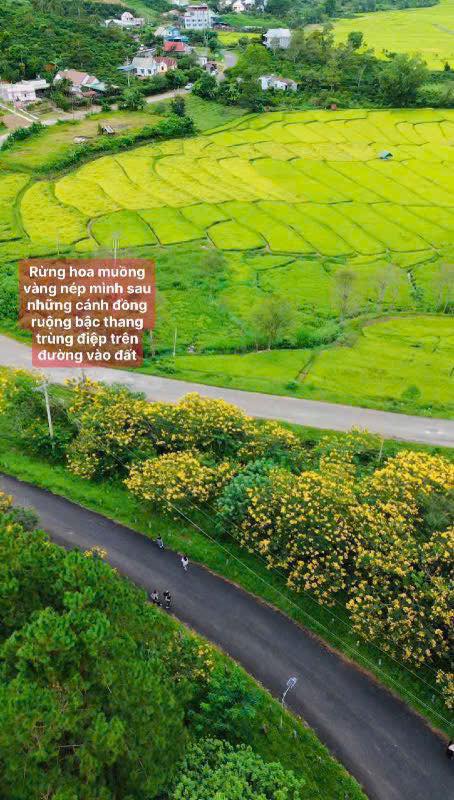 Nơi đất trời hòa quyện, Di Linh – Lâm Đồng hiện hữu một bức tranh thiên nhiên thơ mộng