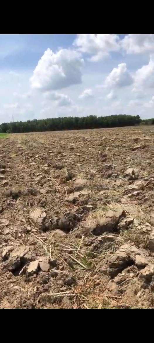 Đất vàng Tây Ninh 25.000m2 đất trống, chủ cần bán gấp