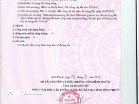 Đất Chơn Thành 5m x 32m, sổ hồng sẵn sàng, cơ hội đầu tư không thể bỏ lỡ