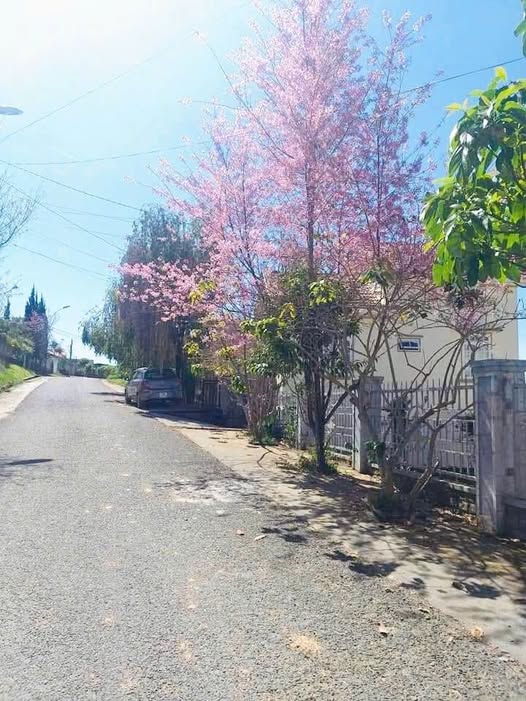 Bán đất biệt thự Lý Nam Đế, Đà Lạt, diện tích 406m2, giá chỉ 14.5 tỷ