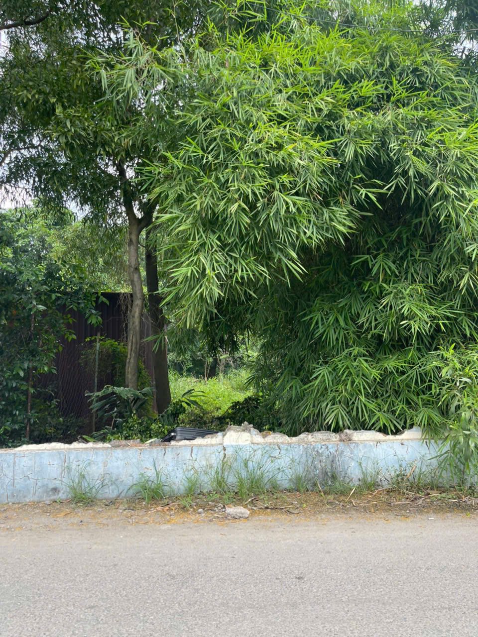 Bán đất nền rộng 2500m2 tại Thuận An, Bình Dương