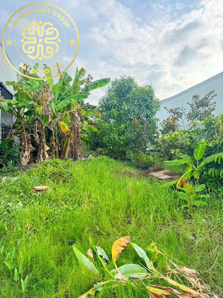 Đất thổ cư Cà Mau, 6x40m, sổ hồng riêng, giá 650 triệu