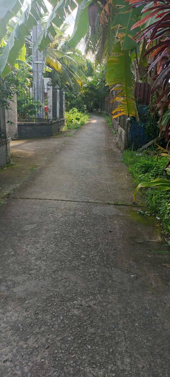 Chào mừng quý khách đến với không gian nghỉ dưỡng yên bình, một "mini house" mang đậm phong cách thư thái