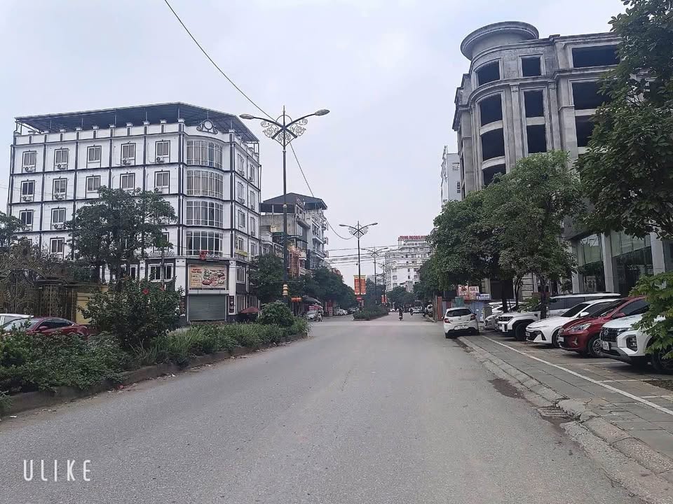 Mặt đường Bắc Sơn kinh doanh siêu vip, 135m2, mặt tiền gần 7m
