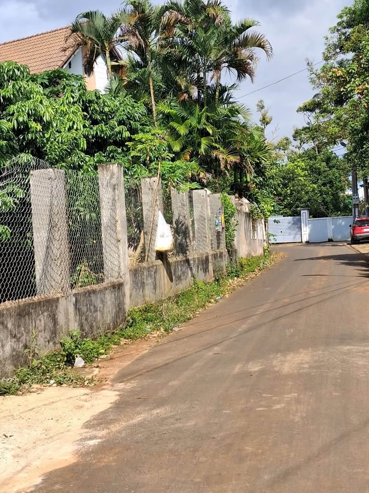 Mặt tiền Hoàng Thế Thiện, đất vàng Tân Lợi, Buôn Ma Thuột 3,15 tỷ